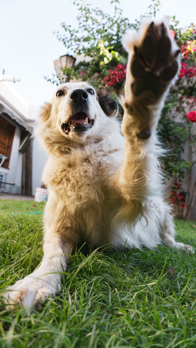 Iphone and Screen Mockup 02